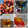 Línea de producción de aceite de palm kernel para todo el conjunto de Huatai